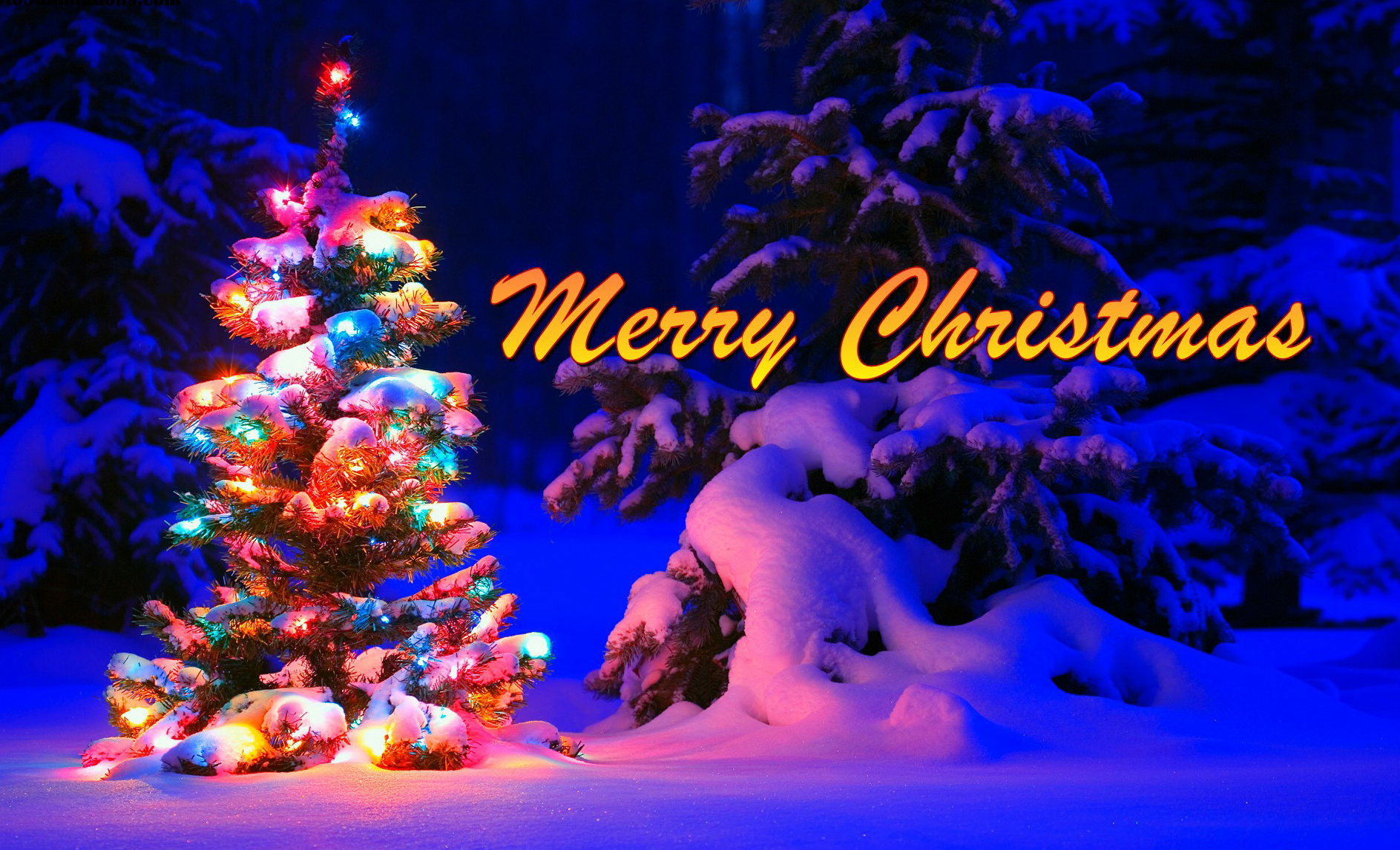 Amazing Chocolate Gift Box for Merry Christmas - Image 5